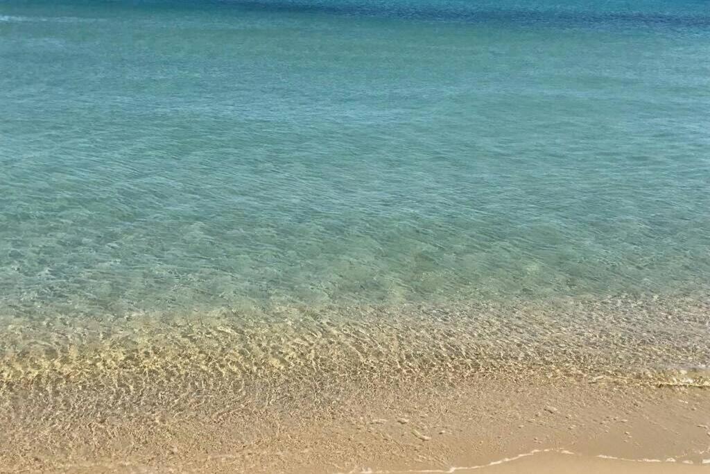 2 Bedrooms, 15 Min Walk To Beach, Ac, Pool & Fiber Internet In A Quiet, Private Gated Domain 5Kms To St Tropez Cogolin Exterior photo