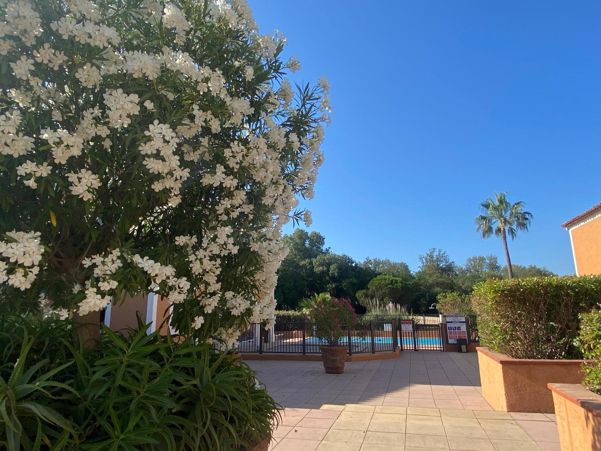 2 Bedrooms, 15 Min Walk To Beach, Ac, Pool & Fiber Internet In A Quiet, Private Gated Domain 5Kms To St Tropez Cogolin Exterior photo